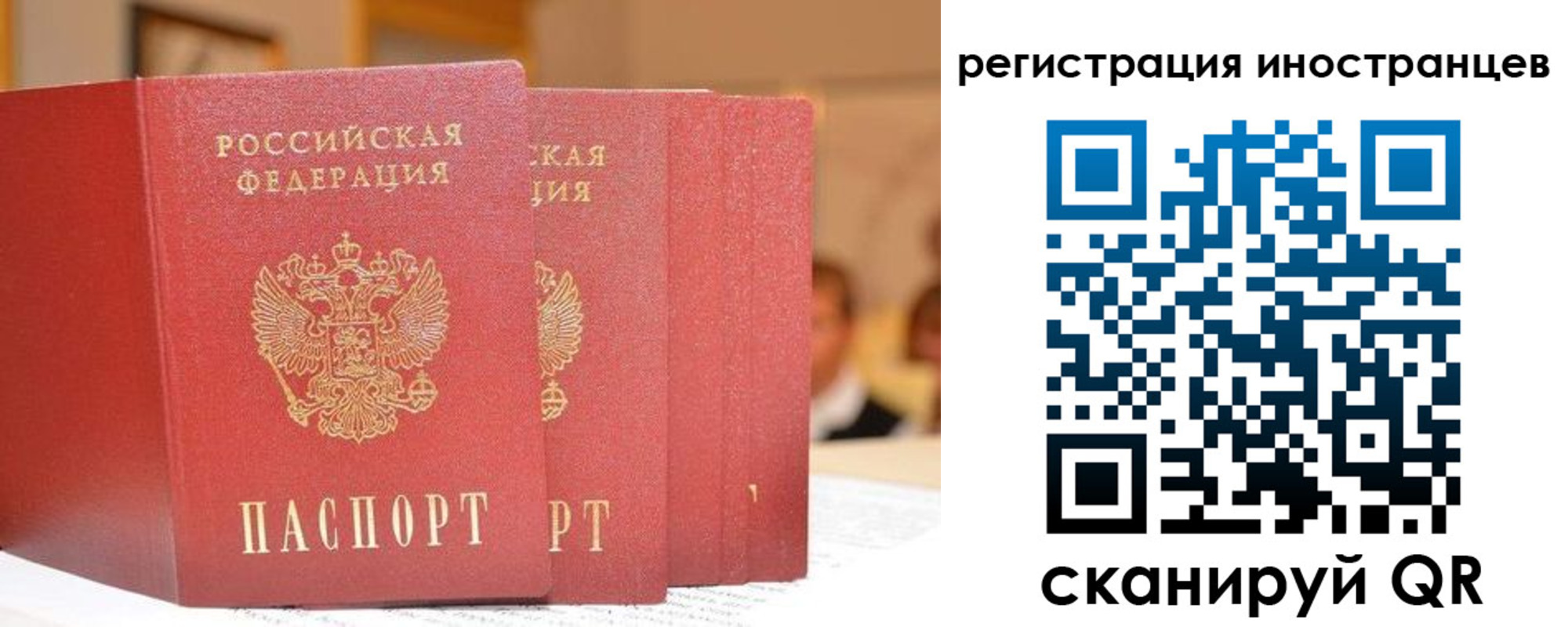 где прописаться в Болотном